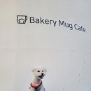 진희슈퍼 이미지