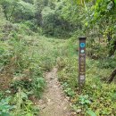 치악산둘레길 10코스 아흔아홉골길 이미지