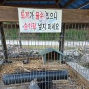​[문경 캠핑] 자연 속 힐링, '숲이조아캠핑장'에서 보낸 완벽했던 주말 후기!