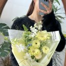풀롶 이미지