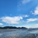와온해변 네이버블로그