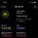 진미양푼등갈비