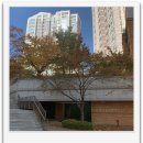 이편한세상행운공인중개사사무소 이미지