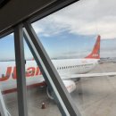 1504 | [쀼1주년 삿포로여행] 2.제주항공 7C1503/7C1504 비즈니스 라이트 탑승후기