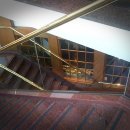 하이야트 이미지