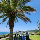 제주기사 이미지