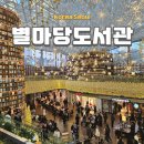 별마당도서관 서울 강남 코엑스 놀거리 크리스마스트리