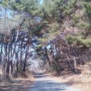 부산칸트리클럽 이미지