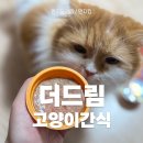 고양이간식추천 기호성좋은 이나바 챠오 급여후기, 더드림 고양이간식