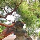 해맑은 미소약국 | 충주 단호사(丹湖寺)