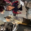 홍주야식 이미지