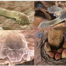 필메디칼 이미지