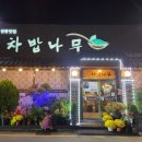 차밥나무 이미지