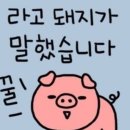 국가대표정육식당 네이버블로그