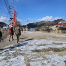 송풍초,용담중 이미지