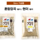 제25회 순천남승룡마라톤대회 이미지