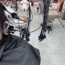 자유미장원 | 청주 시내 미용실, 청주 성안길 미용실 골목미장원 성안점