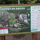 단양 다리안 관광지 야영장 B사이트 후기 (B7번 데크)