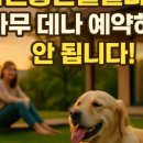 반스힐리조트 이미지
