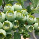 목골농장 이미지