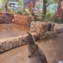 스타필드하남 메가박스 화장실(5관앞) | "엄마의 시간이 숫자로 보인다" 영화 '넘버원' 관람 후기 (눈물 주의)