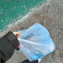 상봉길 | 화성 봉담 맛집 피자알볼로 봉담점 sUPer 목동피자 &amp; 치크떡볶이 후기