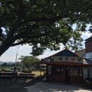 삼우그린슈퍼 이미지