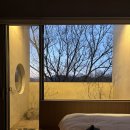 서로재 | 강원도 감성숙소 추천 : 고성 서로재 내돈내산 후기