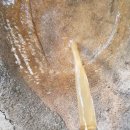 선화로47길 네이버블로그