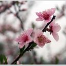 지혜의 샘 이미지