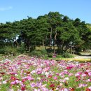 외암마을 이미지