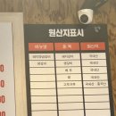 도도한암퇘지 이미지