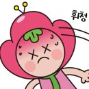 베트남식품잡화 이미지