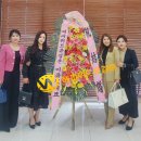 북한여성결혼 실제 후기! 제주도 결혼 후 시험관 성공, 통일 2세 쌍둥이 임신 소식 대공개