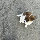 해든동물병원 이미지