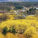 이천1리마을회관 이미지