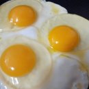 봄빛농장 | 난각번호1번 달걀 찾다가 알게 된 봄빛농장 후기