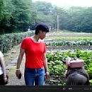 성남사 - 보성군 채동선로 198-1 | 성남사