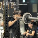 배럴스트렝스 이미지