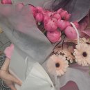 삼주상가(1동 식육점) | [W.08] 스튜디오 촬영 - 보어하우스