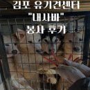 내사랑 강아지 | 김포 유기견센터 내사랑 바둑이 &#34;내사바&#34; 봉사 후기