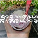 상큼달콤 - 기장군 해빛1로 74 | 5월 이달의 맛 베라 말랑포도메타몽 알맹이 톡톡 상큼달콤 포도와의 만남 후기