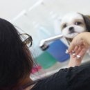 헬로똘복 네이버블로그