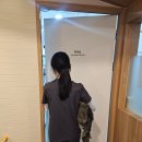 바이오드동물병원 | 파주 운정산내동물병원 5개월 폼스키 숫컷 중성화 수술 비용 후기