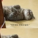 참바다도매횟집