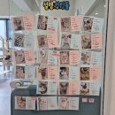 설렘고양이카페 이미지