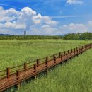 비봉인공습지 이미지