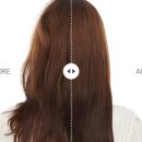 열손가락헤어 이미지