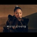 J캣 이미지