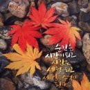 &#34;&#39;수산회&#39;(水山會) 66회 &#39;손기정체육공원기념관&#39;과 &#39;효창공원&#39; 산책&#34;＜2024.12.04(수)＞ 이미지